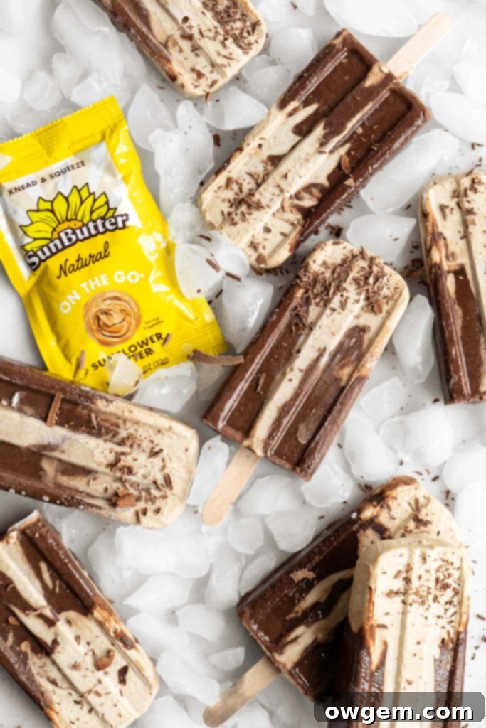A SunButter Chocolate Fudgesicle being held up