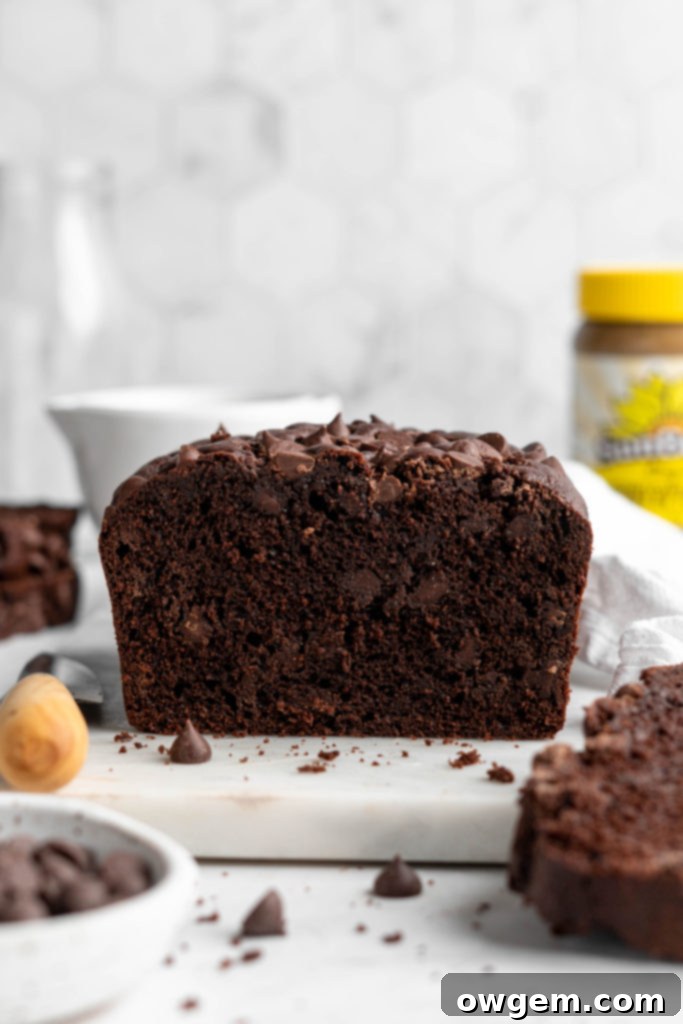 A top-down view of the SunButter Double Chocolate Chip Loaf Cake, showing the cracked top and melted chocolate.