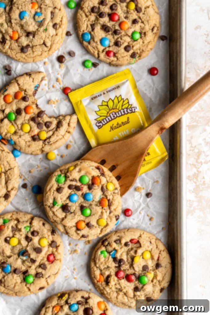 Several golden brown peanut-free monster cookies cooling on a baking sheet, with one being lifted by a spatula.