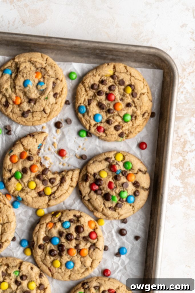 A delicious peanut-free monster cookie with a bite taken out, surrounded by several whole cookies on a parchment-lined baking sheet.