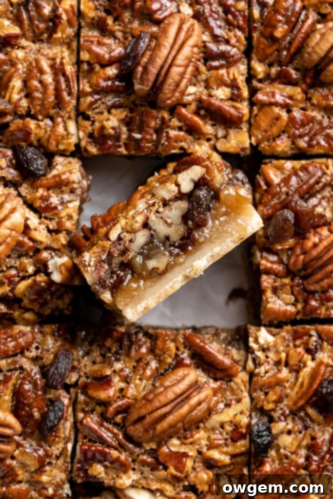 Full tray of freshly baked pecan pie bars with raisins, ready for slicing