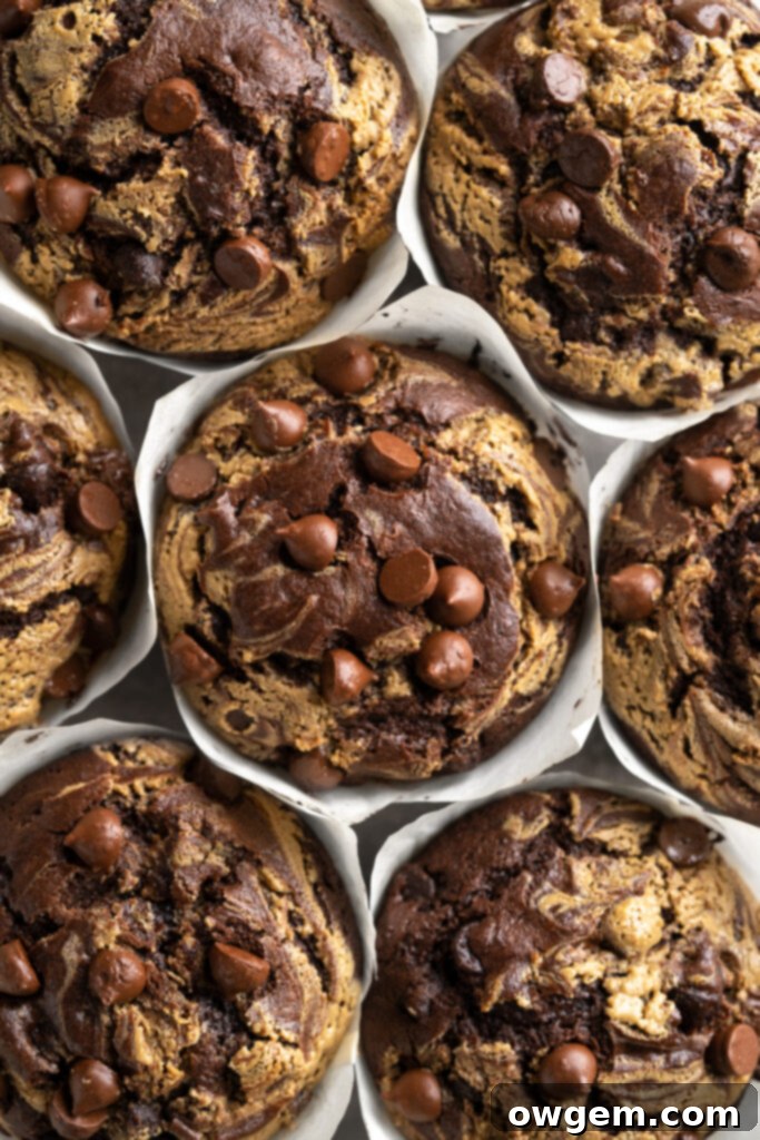 Tops of bakery style double chocolate chip muffins, perfectly domed and swirled with SunButter and extra chocolate chips.