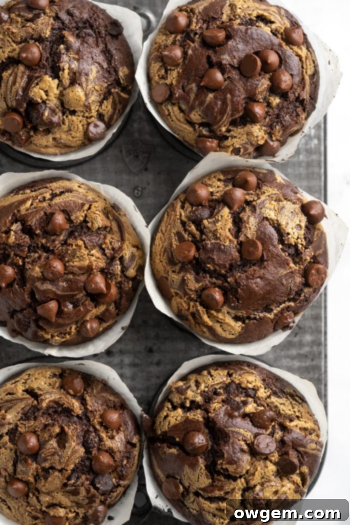 Tops of bakery style double chocolate chip muffins, showcasing the creamy SunButter swirl and melted chocolate.
