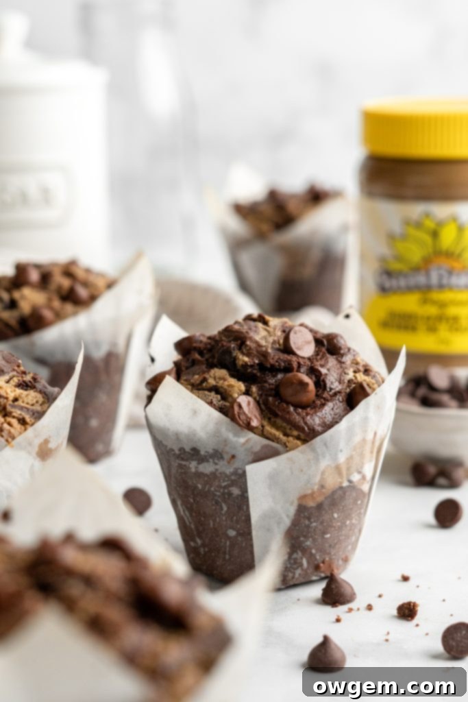 Bakery style double chocolate chip muffin batter looking tall and fluffy in a bowl, ready to be scooped.