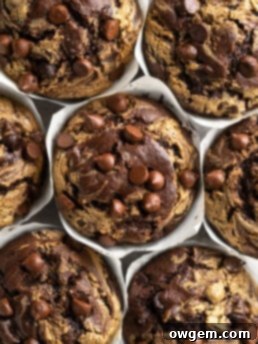 Tops of bakery style double chocolate chip muffins, showcasing the creamy SunButter swirl and melted chocolate.