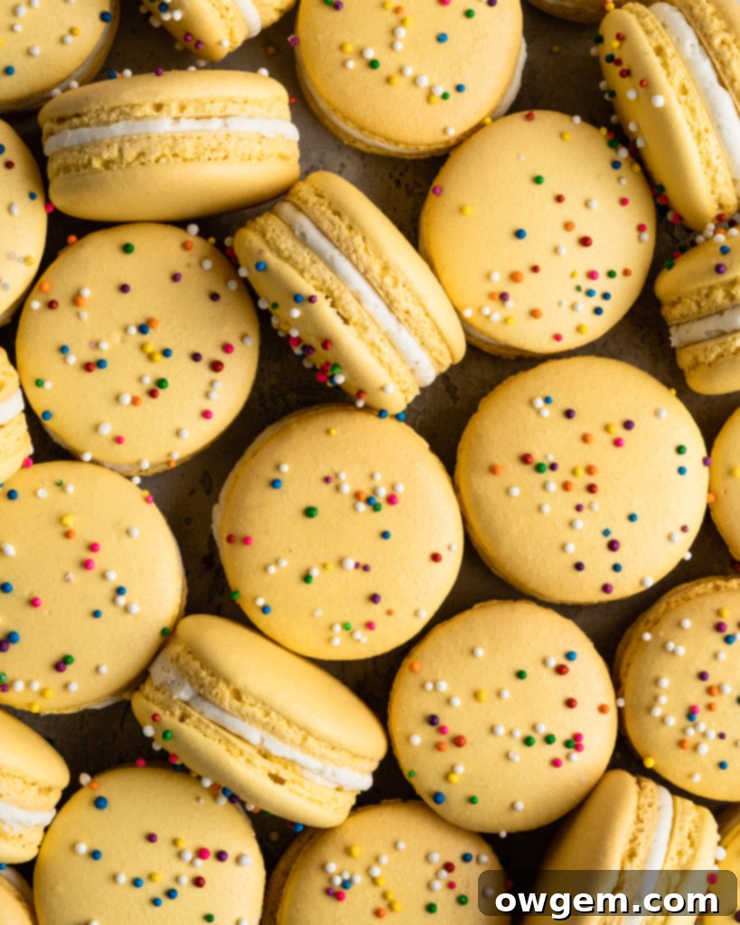 Bright yellow macarons adorned with rainbow sprinkles, showcasing perfectly risen 'feet' and smooth tops. A visual guide for how to make macarons and achieve perfect shells every time.