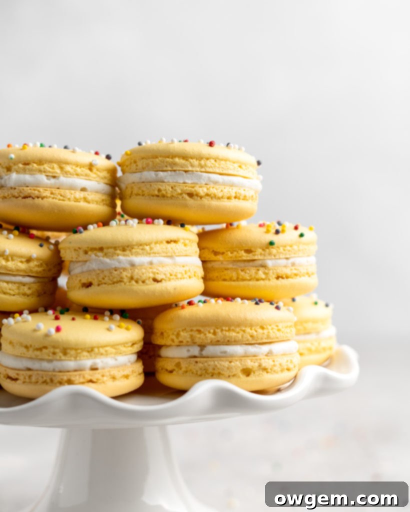 A close-up of a batch of perfectly baked yellow macaron shells, showing their smooth tops and distinct 'feet', ready for filling.