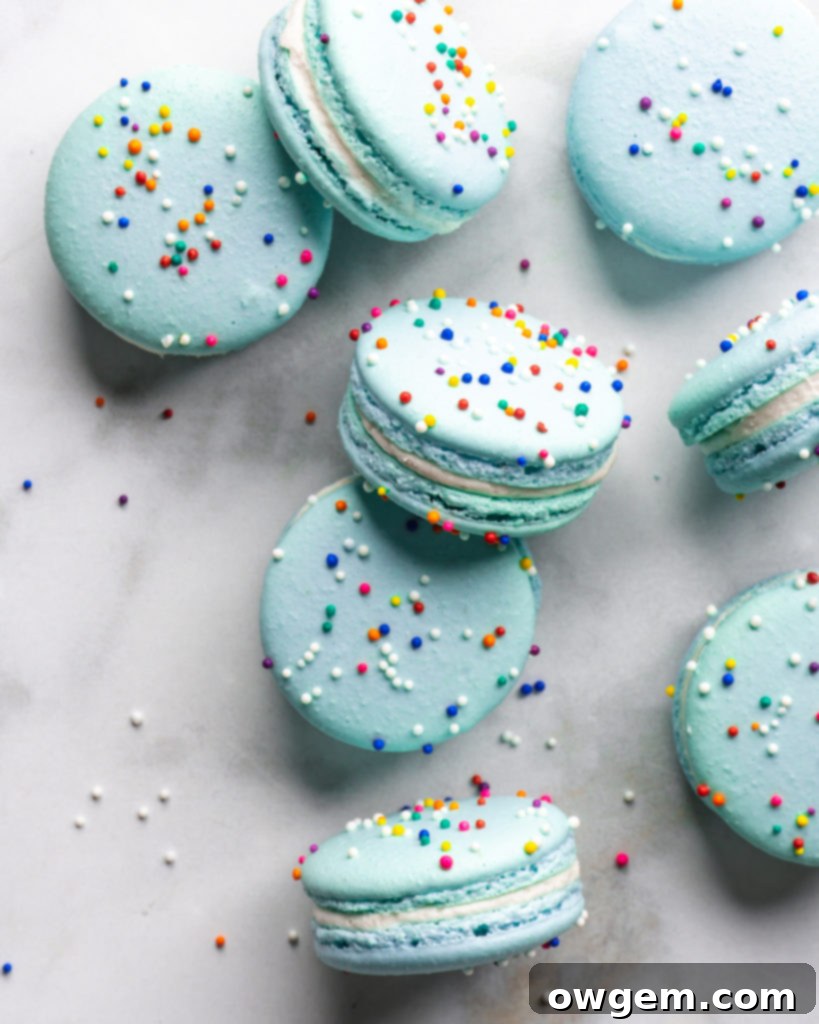 Assorted blue macaron shells neatly arranged, showcasing consistent size and flawless texture, a testament to effective macaron making guidance.
