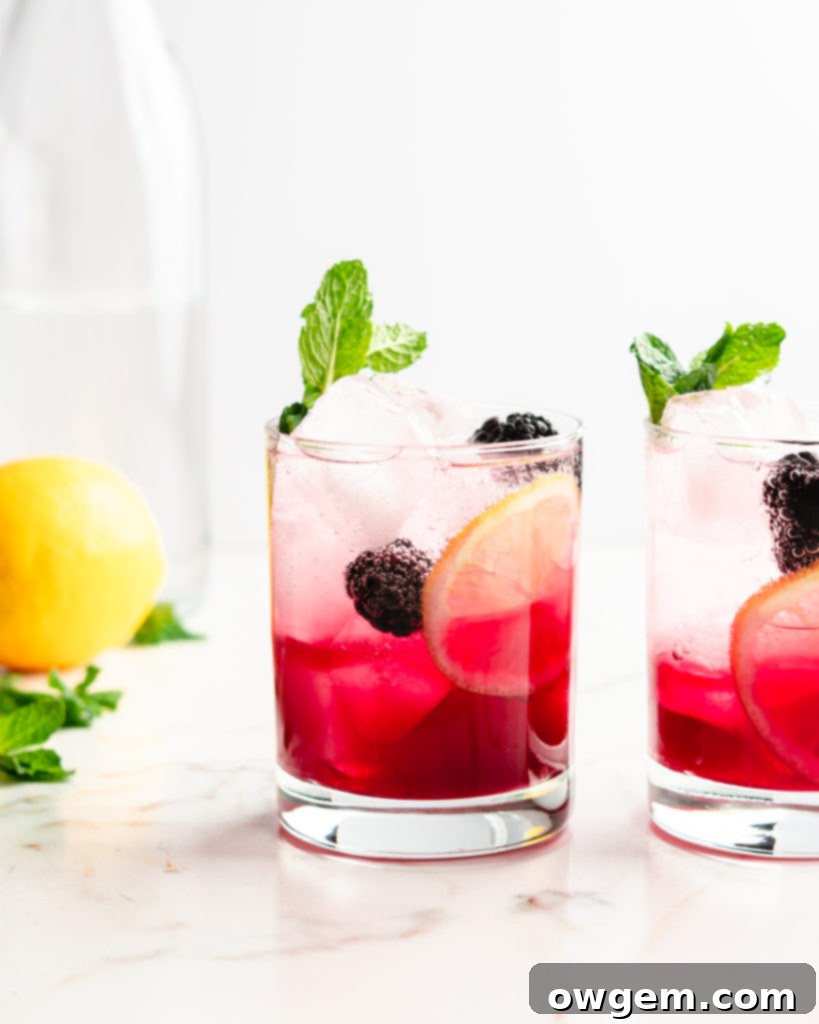 Blackberry syrup, added to lemon juice and vodka, then topped with club soda. Garnished with aromatic fresh mint, for a delicious blackberry vodka cocktail.