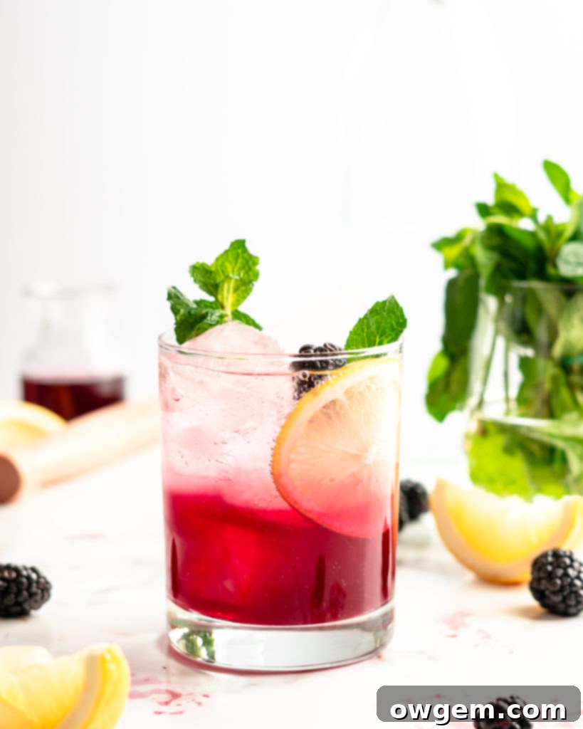 Blackberry syrup, added to lemon juice and vodka, then topped with club soda. Garnished with aromatic fresh mint, for a delicious blackberry vodka cocktail.