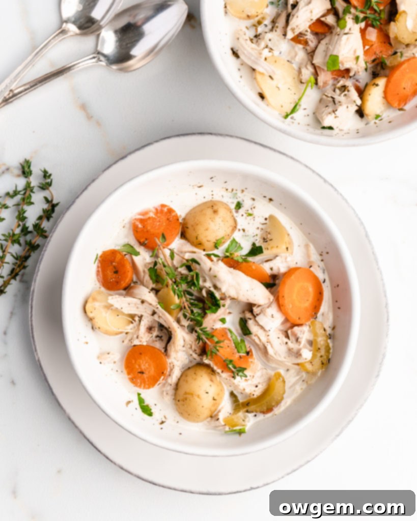 Close-up of a rustic bowl filled with hearty creamy chicken and potato soup, showcasing tender chicken, chunky potatoes, and vibrant vegetables.